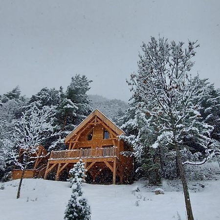 Chalet L'Empreinte Saint-Étienne-de-Tinée Exteriör bild