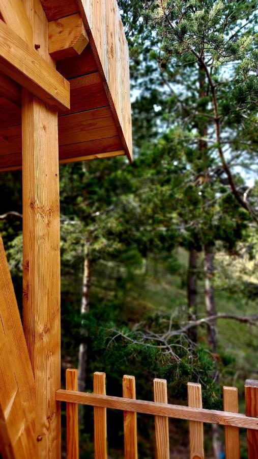 Chalet L'Empreinte Saint-Étienne-de-Tinée Exteriör bild
